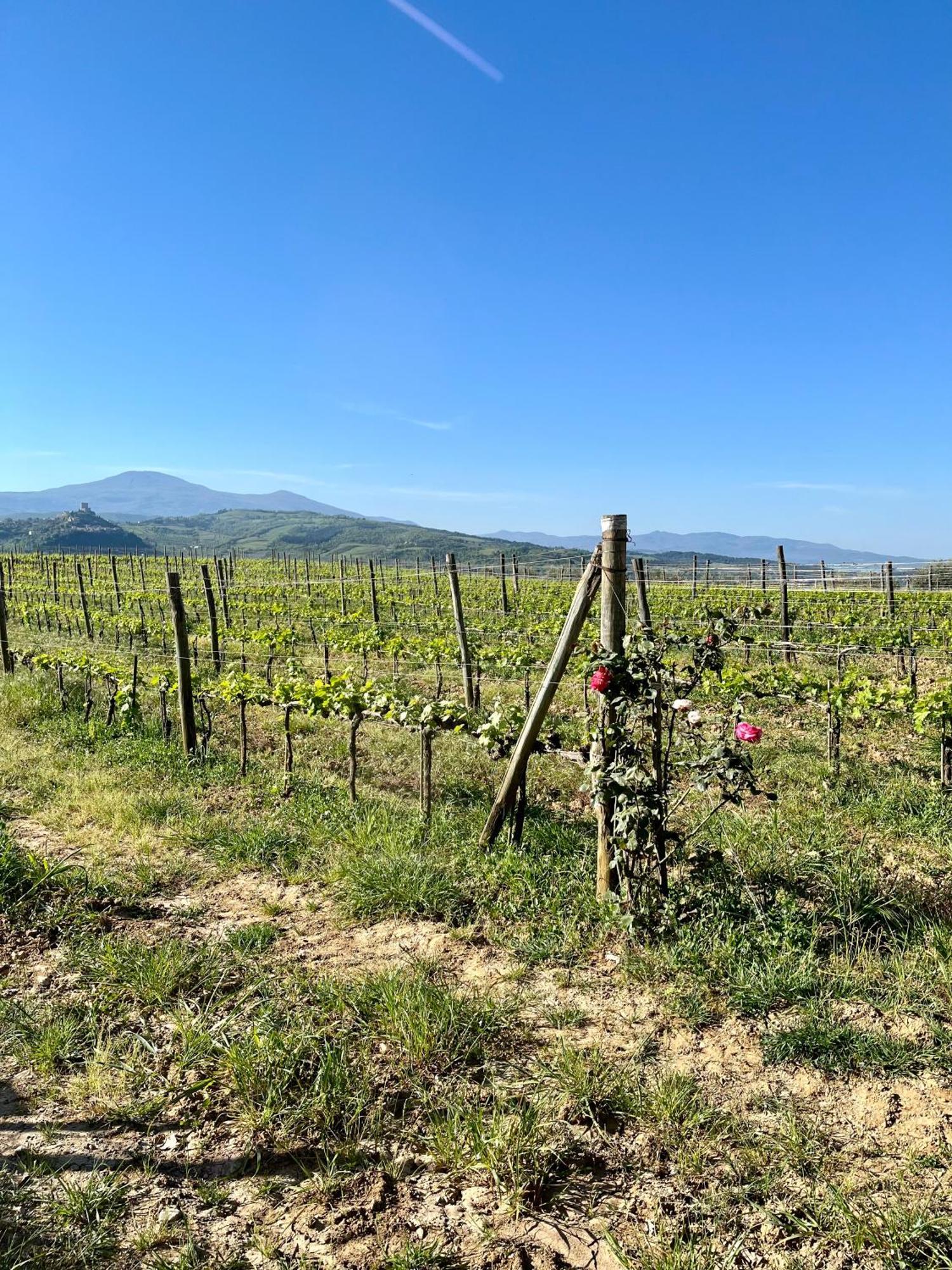 Agriturismo Le Querciole In Val D'Orcia Bagno Vignoni Buitenkant foto