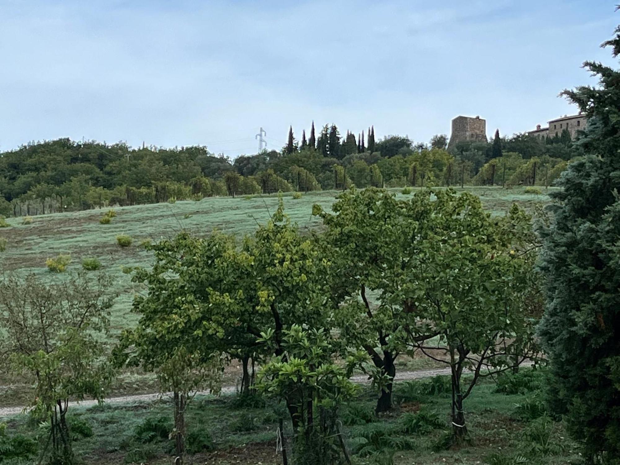 Agriturismo Le Querciole In Val D'Orcia Bagno Vignoni Buitenkant foto