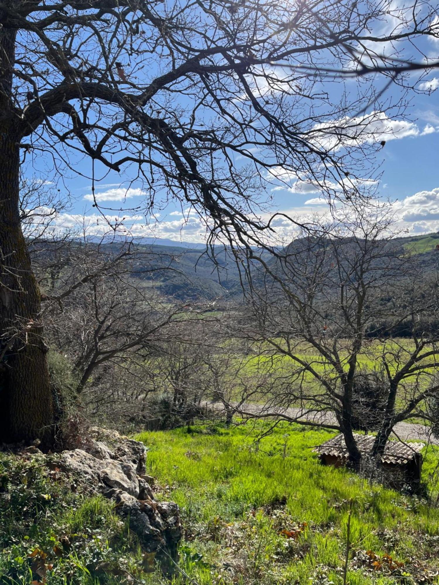 Agriturismo Le Querciole In Val D'Orcia Bagno Vignoni Buitenkant foto